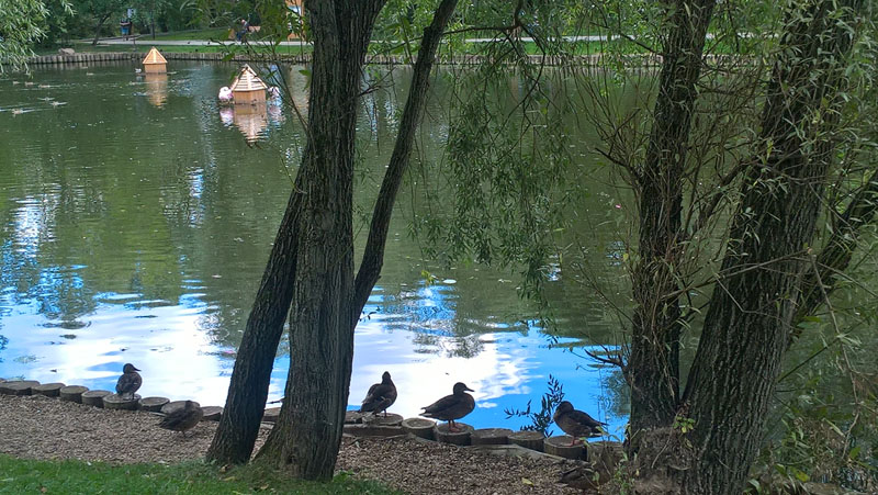 Фото Сергея Филиппова Фото Сергея Филиппова