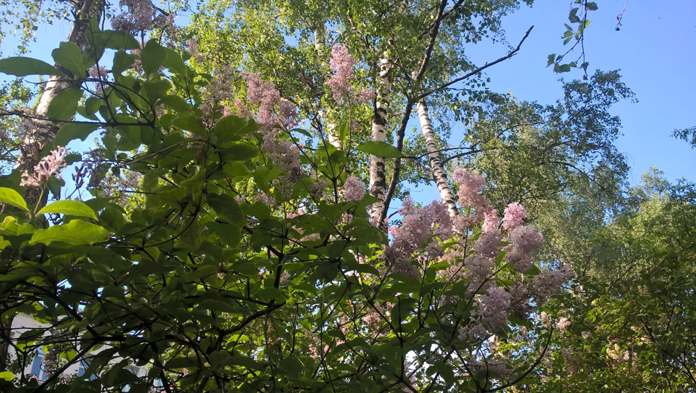 Фото Сергея Филиппова Фото Сергея Филиппова