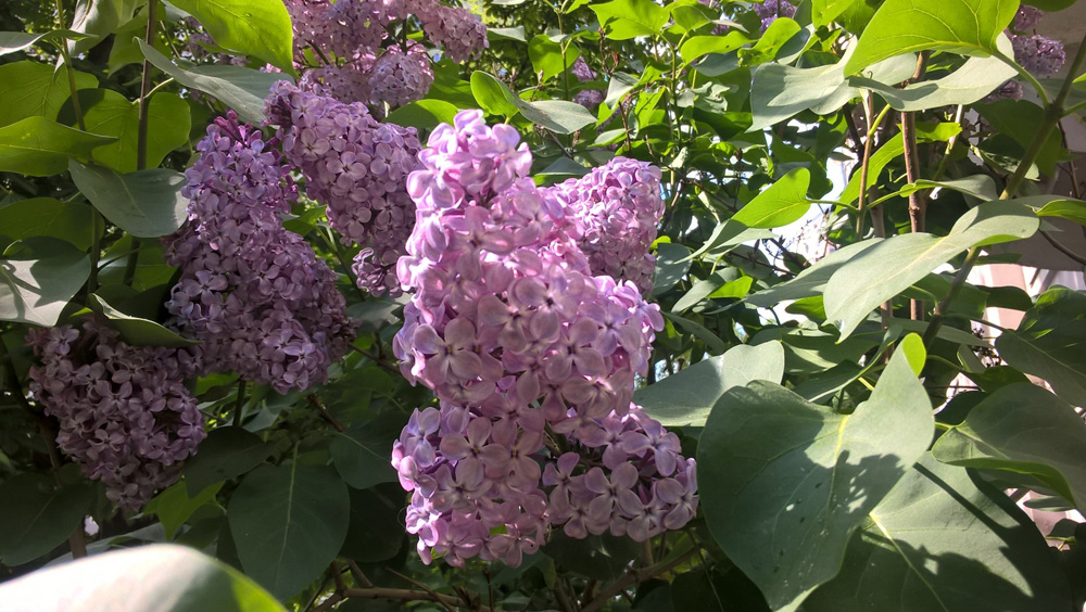 Фото Сергея Филиппова Фото Сергея Филиппова