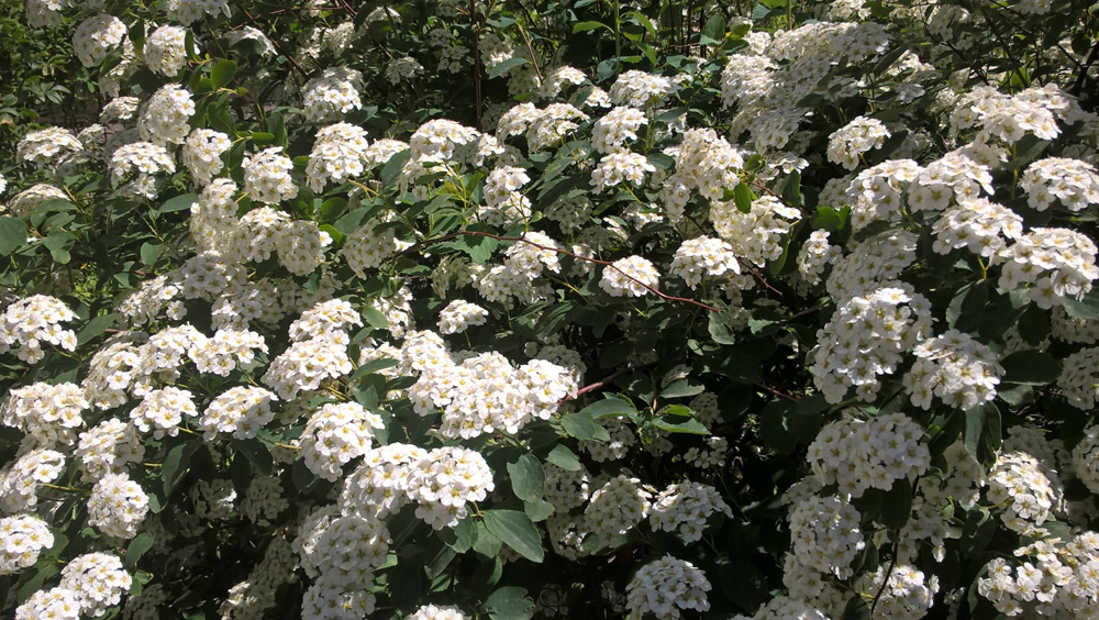 Фото Сергея Филиппова Фото Сергея Филиппова