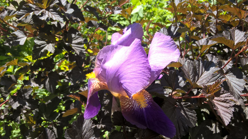 Фото Сергея Филиппова Фото Сергея Филиппова