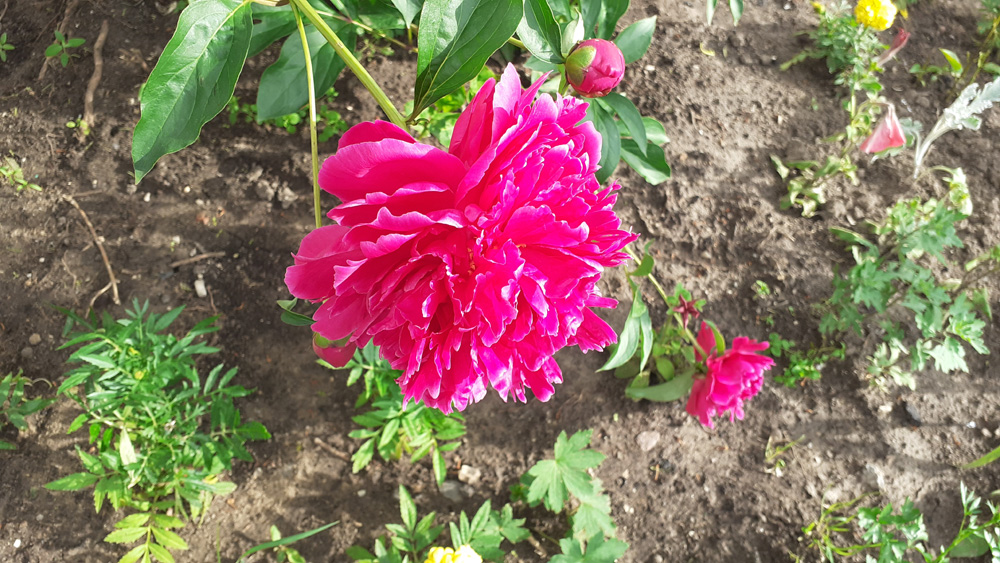 Фото Сергея Филиппова Фото Сергея Филиппова