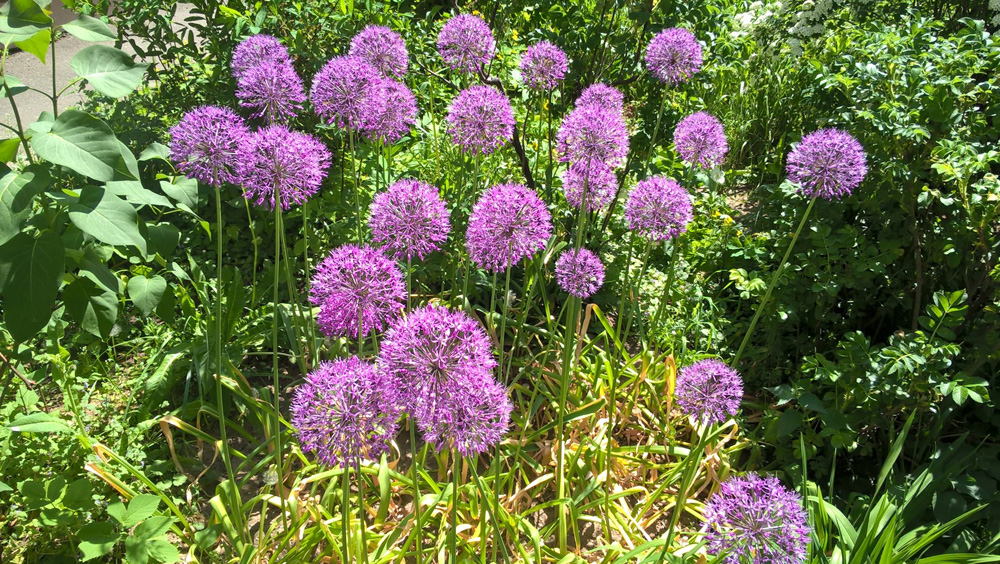 Фото Сергея Филиппова Фото Сергея Филиппова