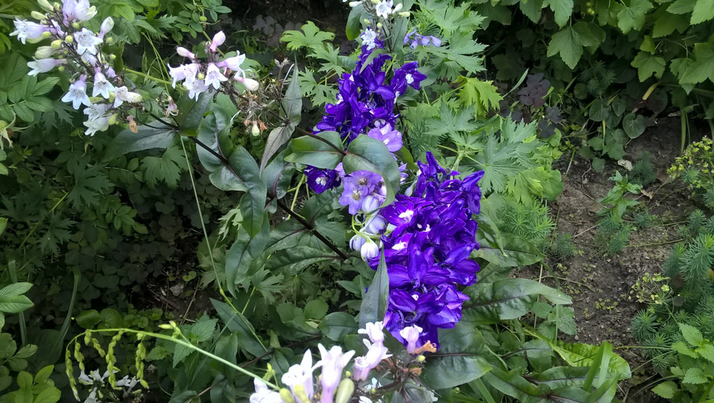 Фото Сергея Филиппова Фото Сергея Филиппова