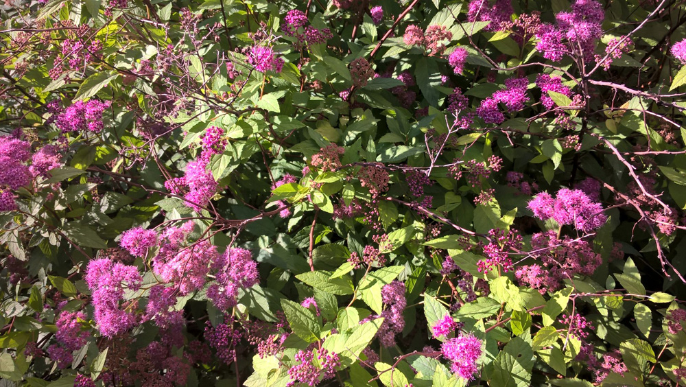 Фото Сергея Филиппова Фото Сергея Филиппова