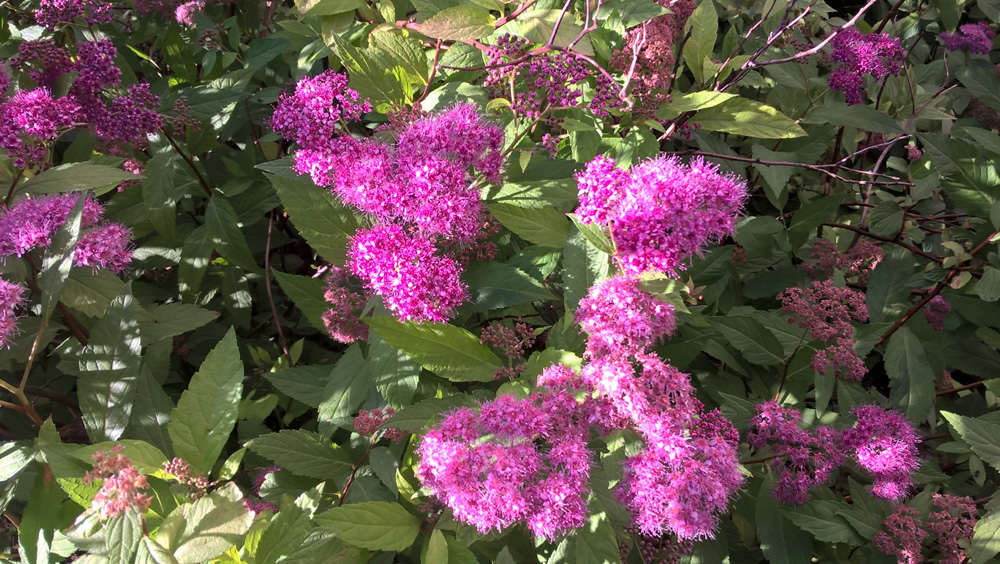 Фото Сергея Филиппова Фото Сергея Филиппова