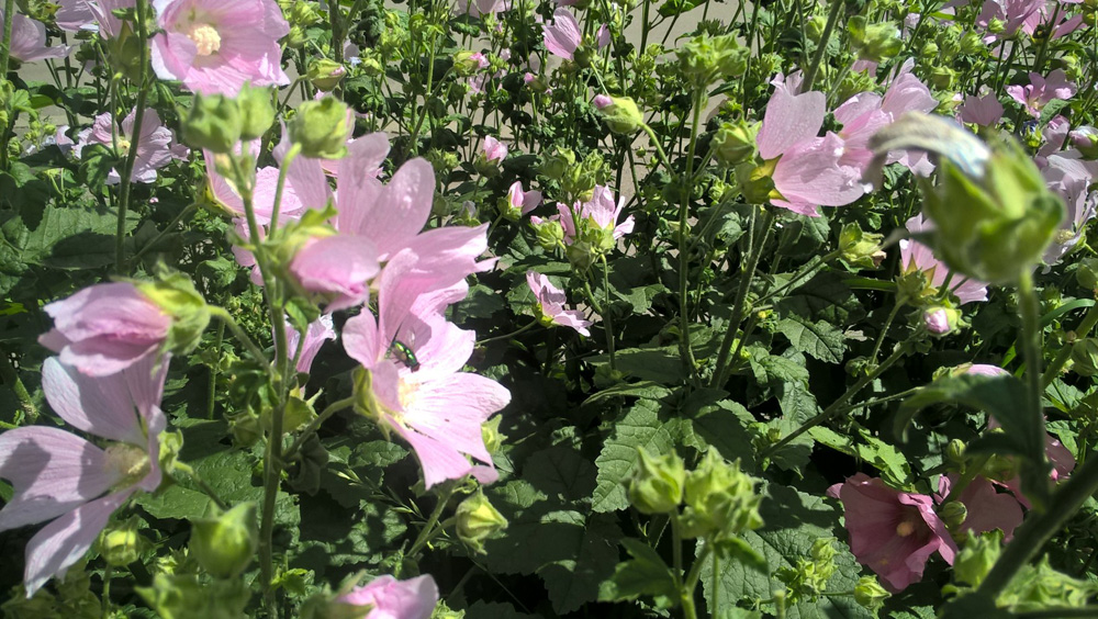 Фото Сергея Филиппова Фото Сергея Филиппова