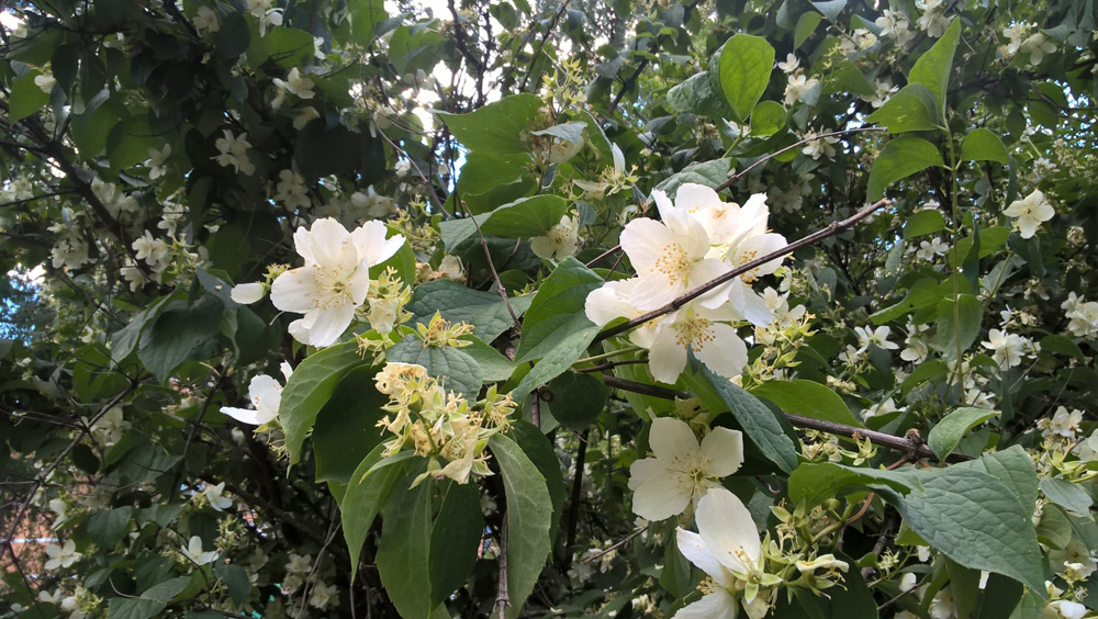 Фото Сергея Филиппова Фото Сергея Филиппова