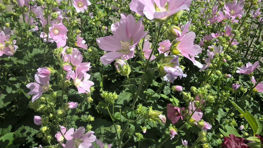 Фото Сергея Филиппова Фото Сергея Филиппова