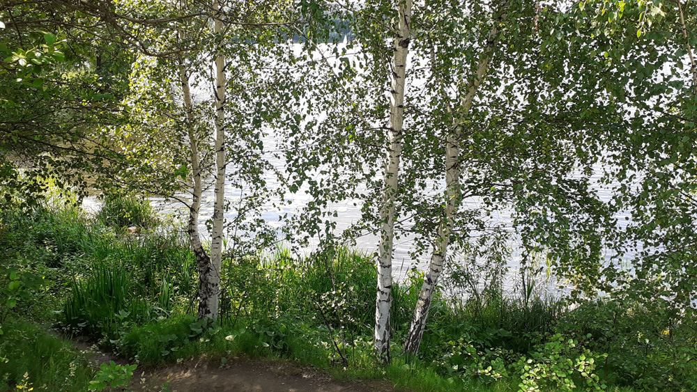 Фото Сергея Филиппова Фото Сергея Филиппова