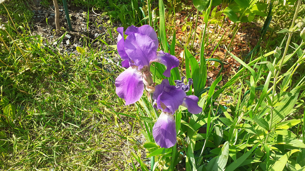 Фото Сергея Филиппова Фото Сергея Филиппова