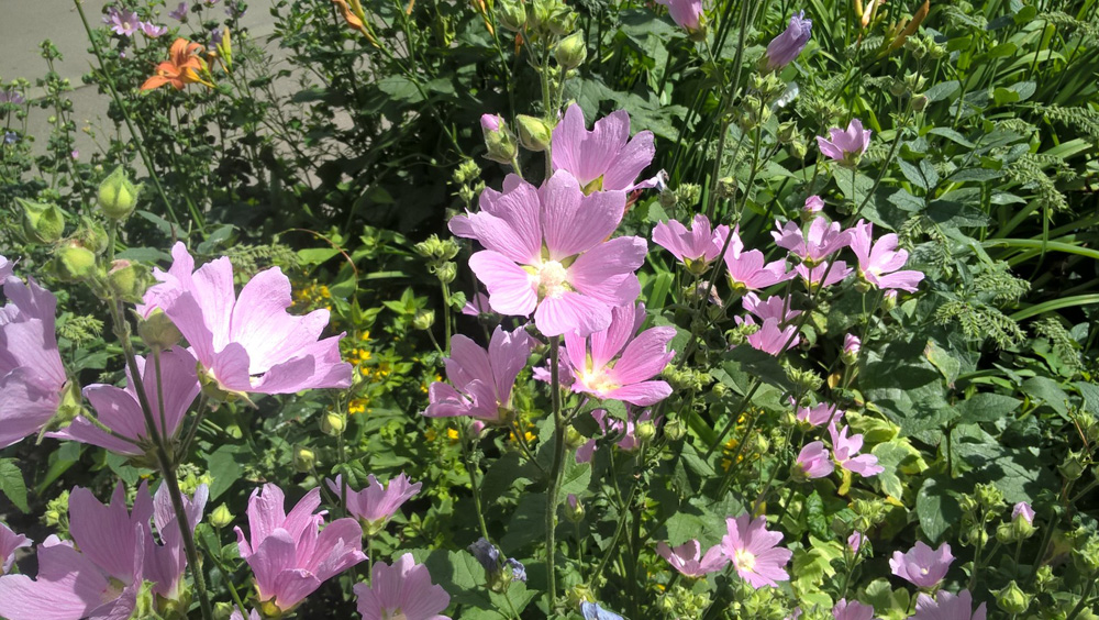 Фото Сергея Филиппова Фото Сергея Филиппова