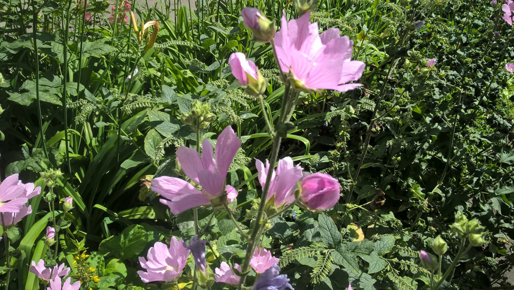 Фото Сергея Филиппова Фото Сергея Филиппова