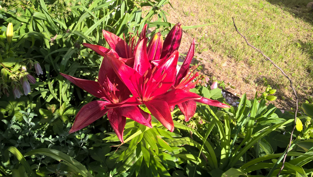 Фото Сергея Филиппова Фото Сергея Филиппова