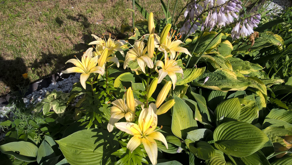 Фото Сергея Филиппова Фото Сергея Филиппова