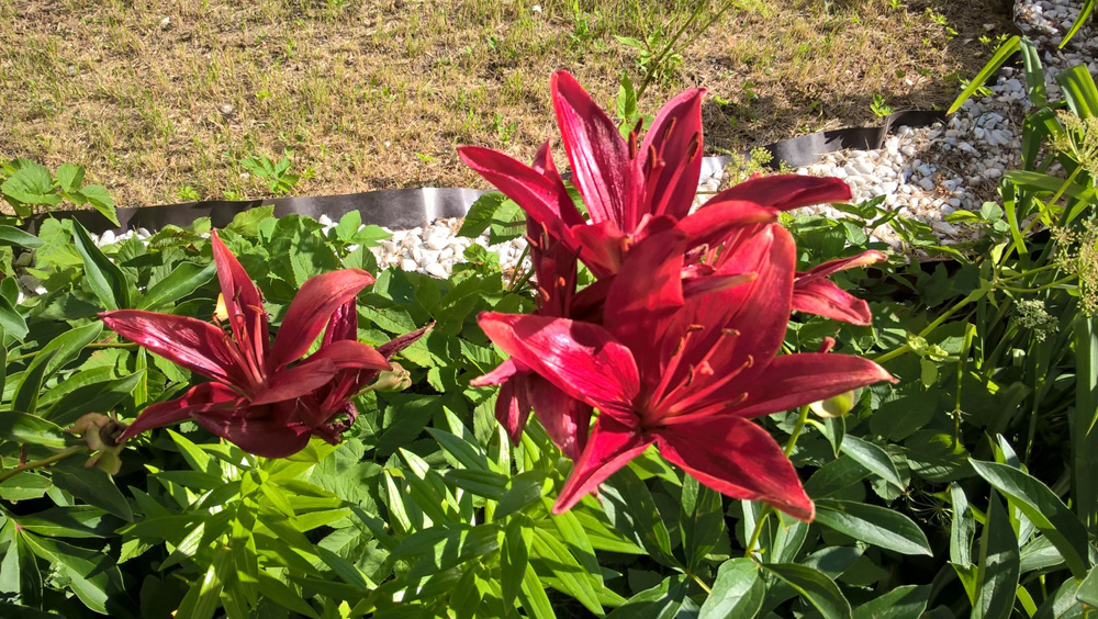 Фото Сергея Филиппова Фото Сергея Филиппова