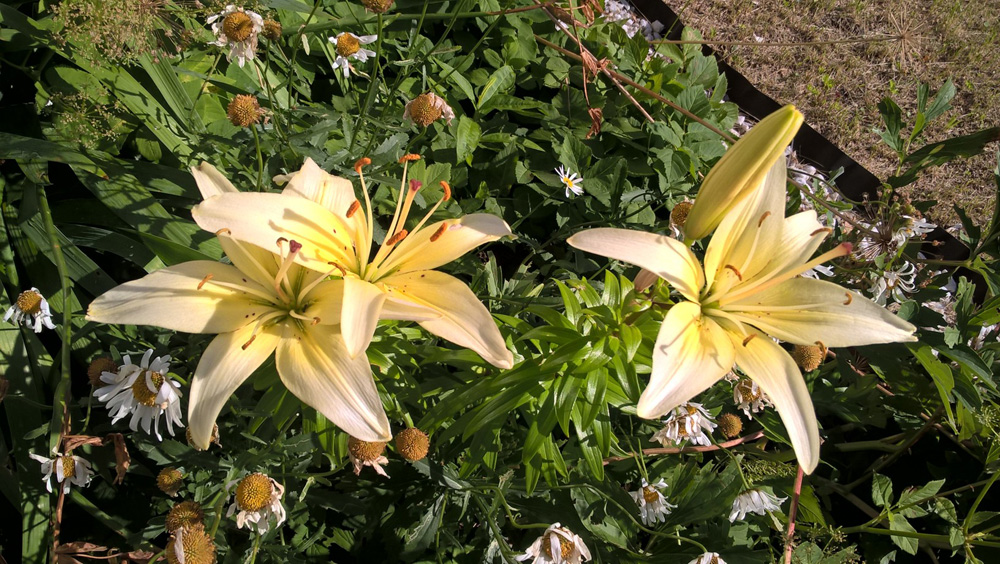 Фото Сергея Филиппова Фото Сергея Филиппова