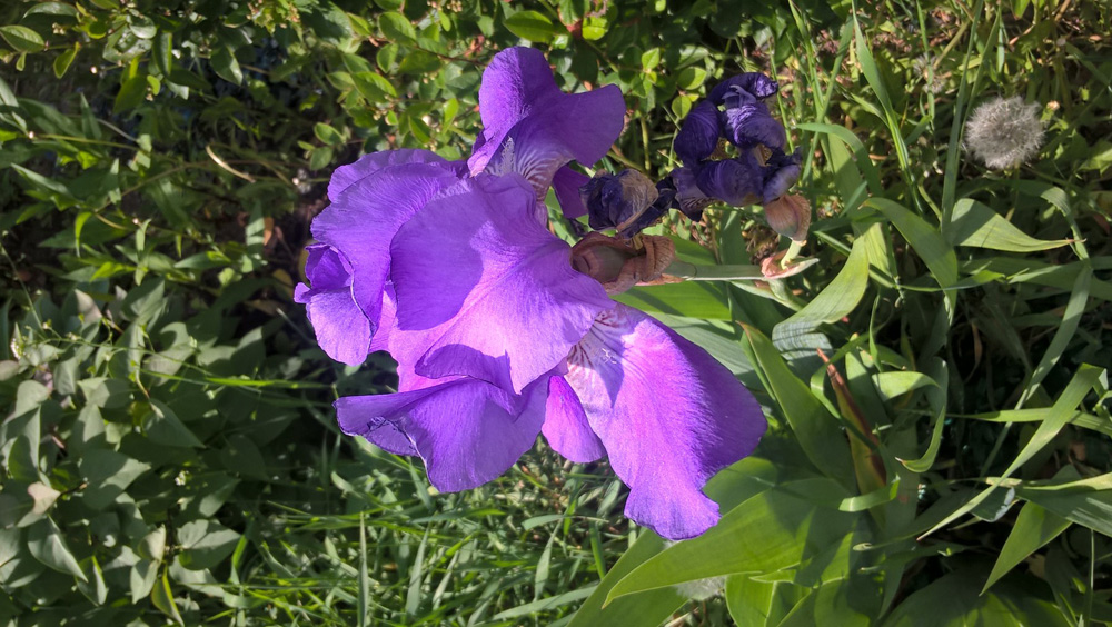 Фото Сергея Филиппова Фото Сергея Филиппова