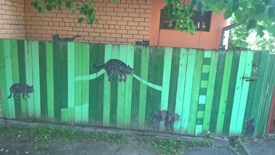 Фото Сергея Филиппова Фото Сергея Филиппова