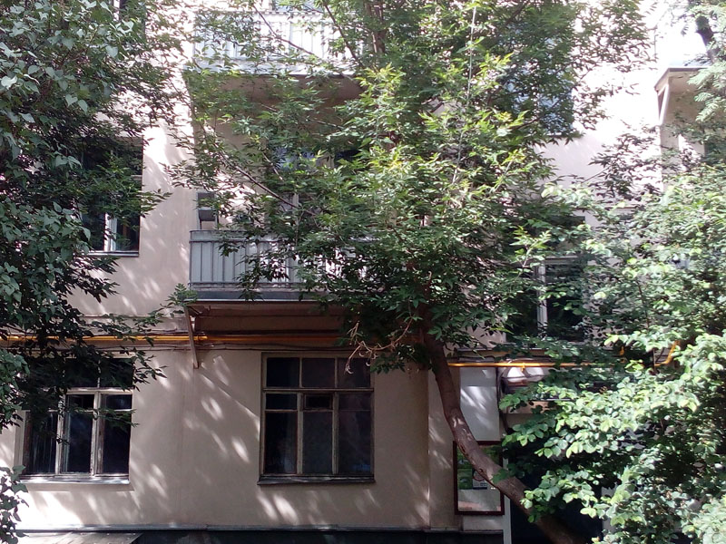 Фото Сергея Филиппова Фото Сергея Филиппова