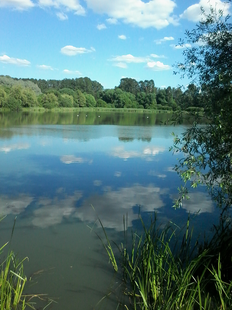 Москва, Покровское-Стрешнево. Фото Сергея Филиппова Москва, Покровское-Стрешнево. Фото Сергея Филиппова