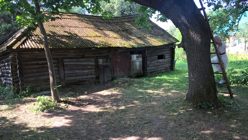 Фото Сергея Филиппова Фото Сергея Филиппова