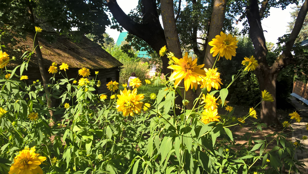 Фото Сергея Филиппова Фото Сергея Филиппова