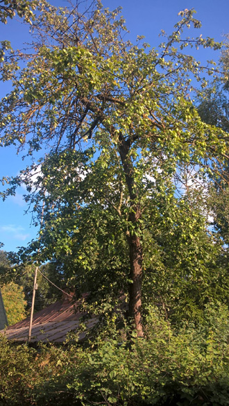 Фото Сергея Филиппова Фото Сергея Филиппова