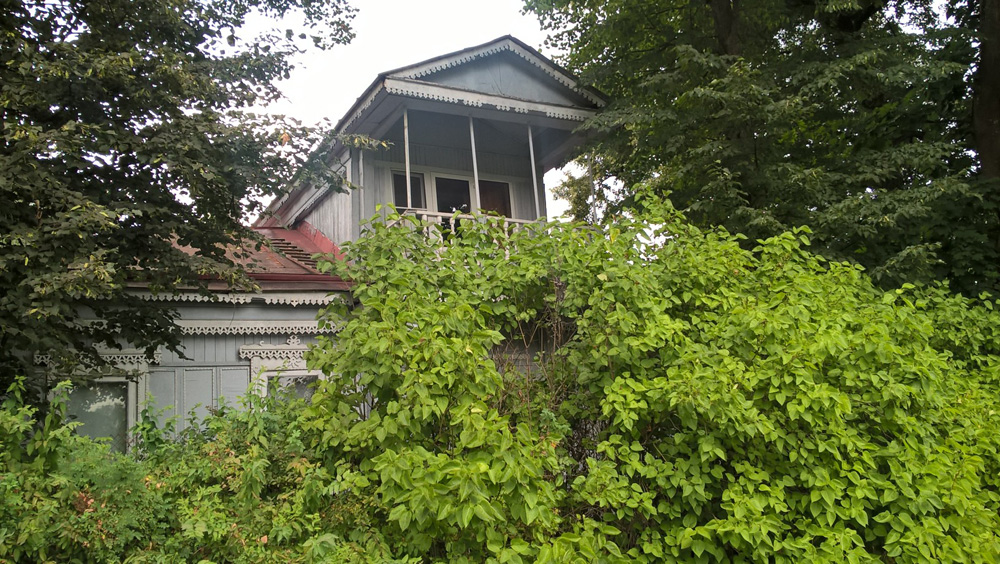 Фото Сергея Филиппова Фото Сергея Филиппова